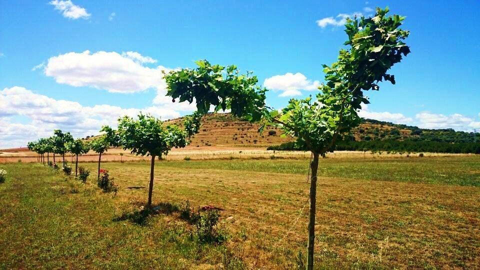 Las Mairas Fuente Encalada Luaran gambar